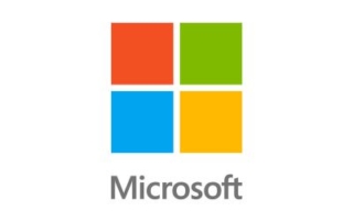 Microsoft partner