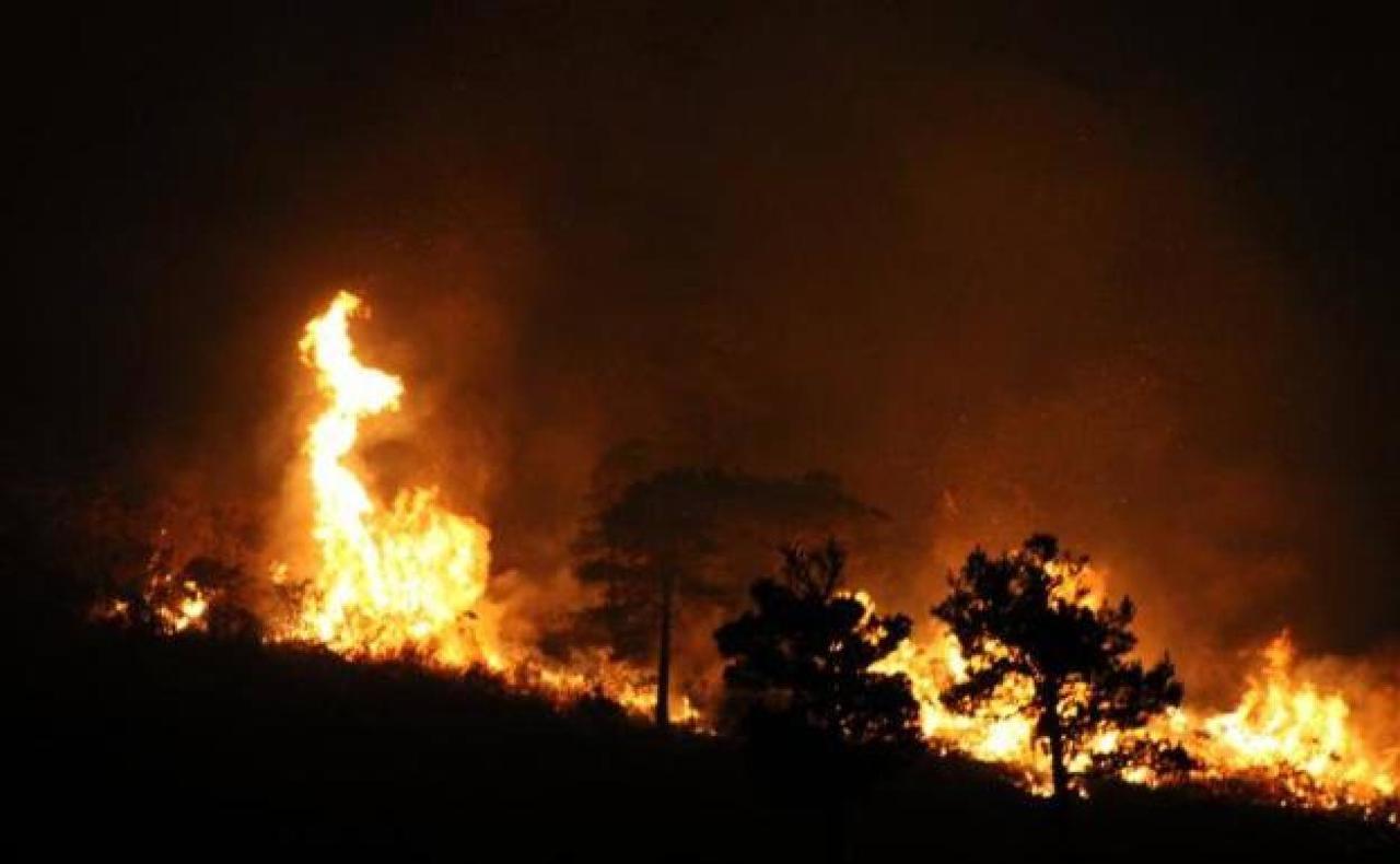 El Gobierno de España utilizará drones para frenar la caza furtiva y los incendios