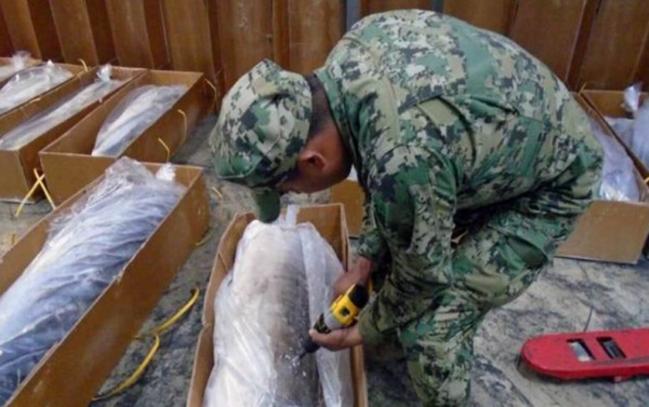 Descubren cocaína del Cártel de Sinaloa en tiburones congelados